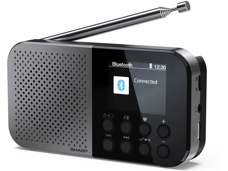 Sharp | portable radio DR-P520 GR | Pocket Mono DAB+/FM + built-in Li battery