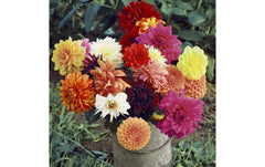 Paper + Design Servietten Floral Magic