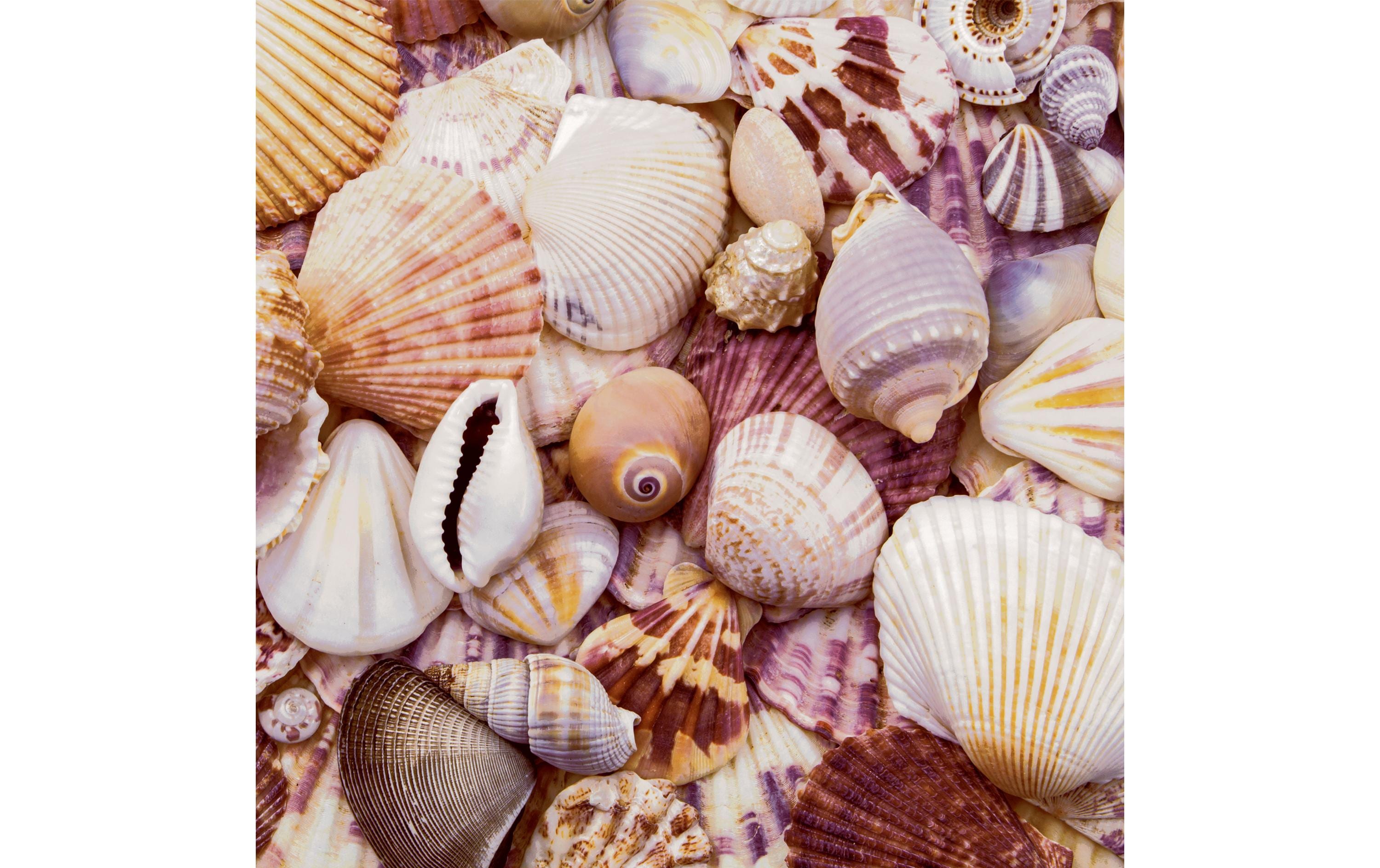 Paper + Design Servietten Seashells