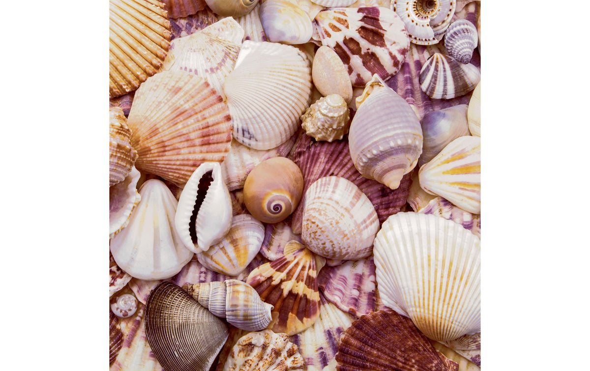 Paper + Design Servietten Seashells