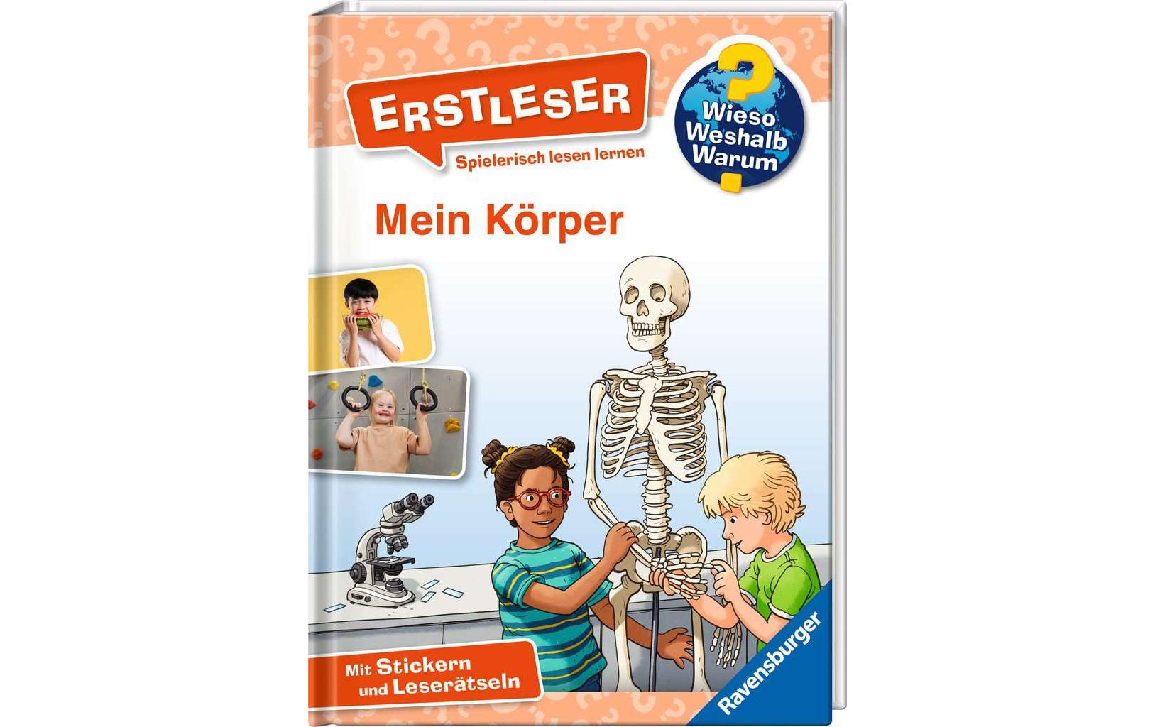 WWW Erstleser: Mein Körper