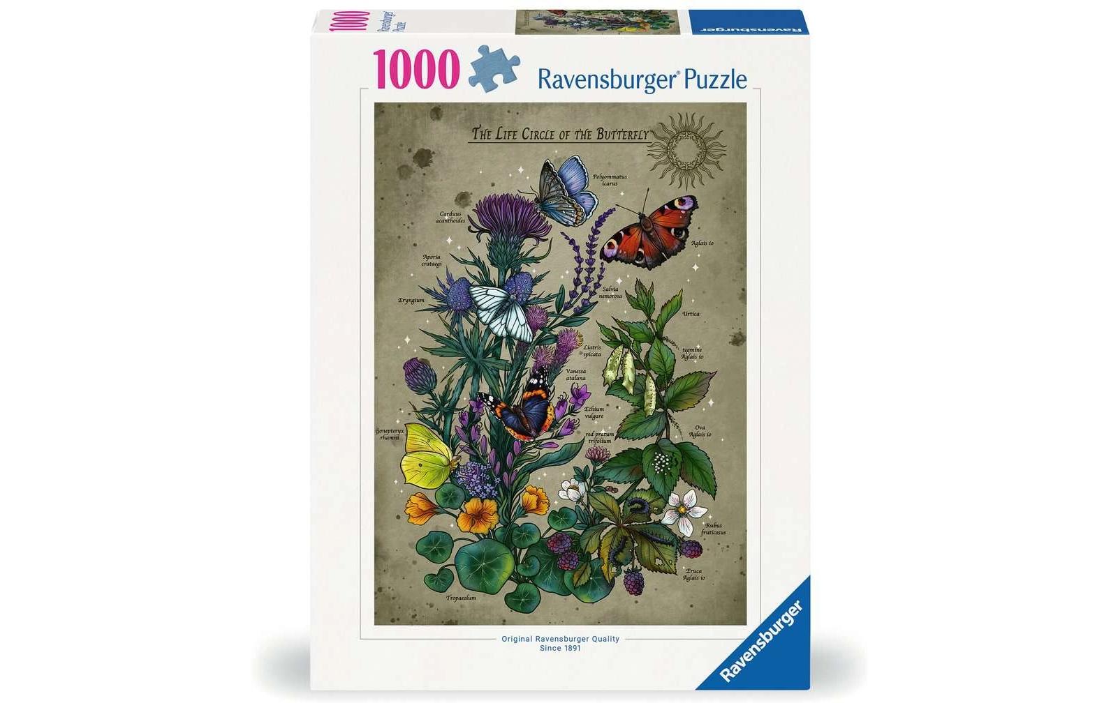 Puzzle Lifecircle Butterfly