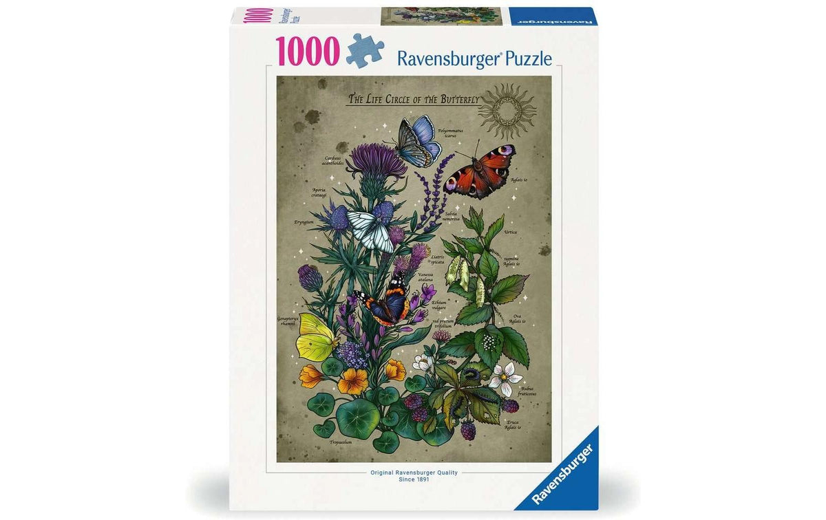 Puzzle Lifecircle Butterfly