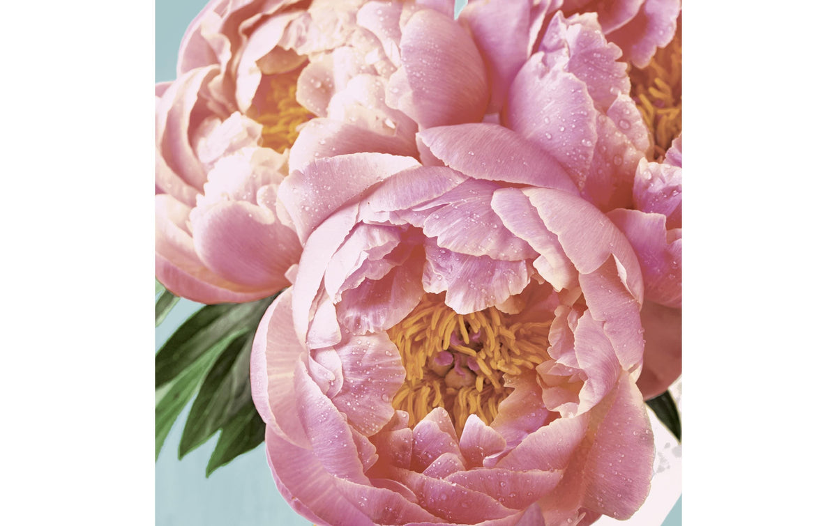 Paper + Design Servietten Pink Peony