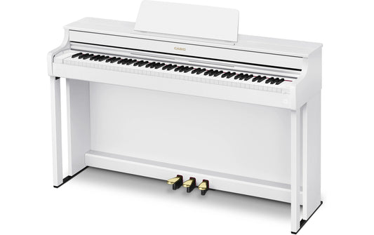 CASIO AP-300WE