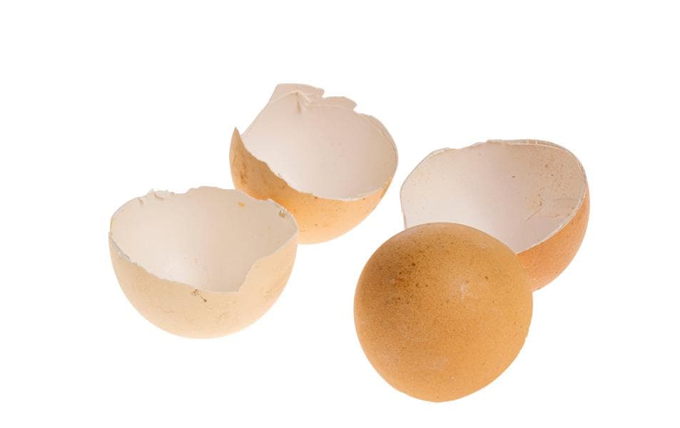 Opiflor Hühnereierschalen 200 g