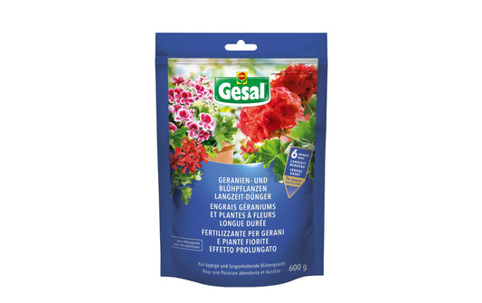 Gesal Geranien und Blühpflanzen