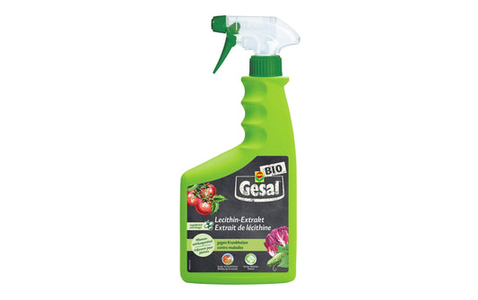 Gesal Lecithin-Extrakt