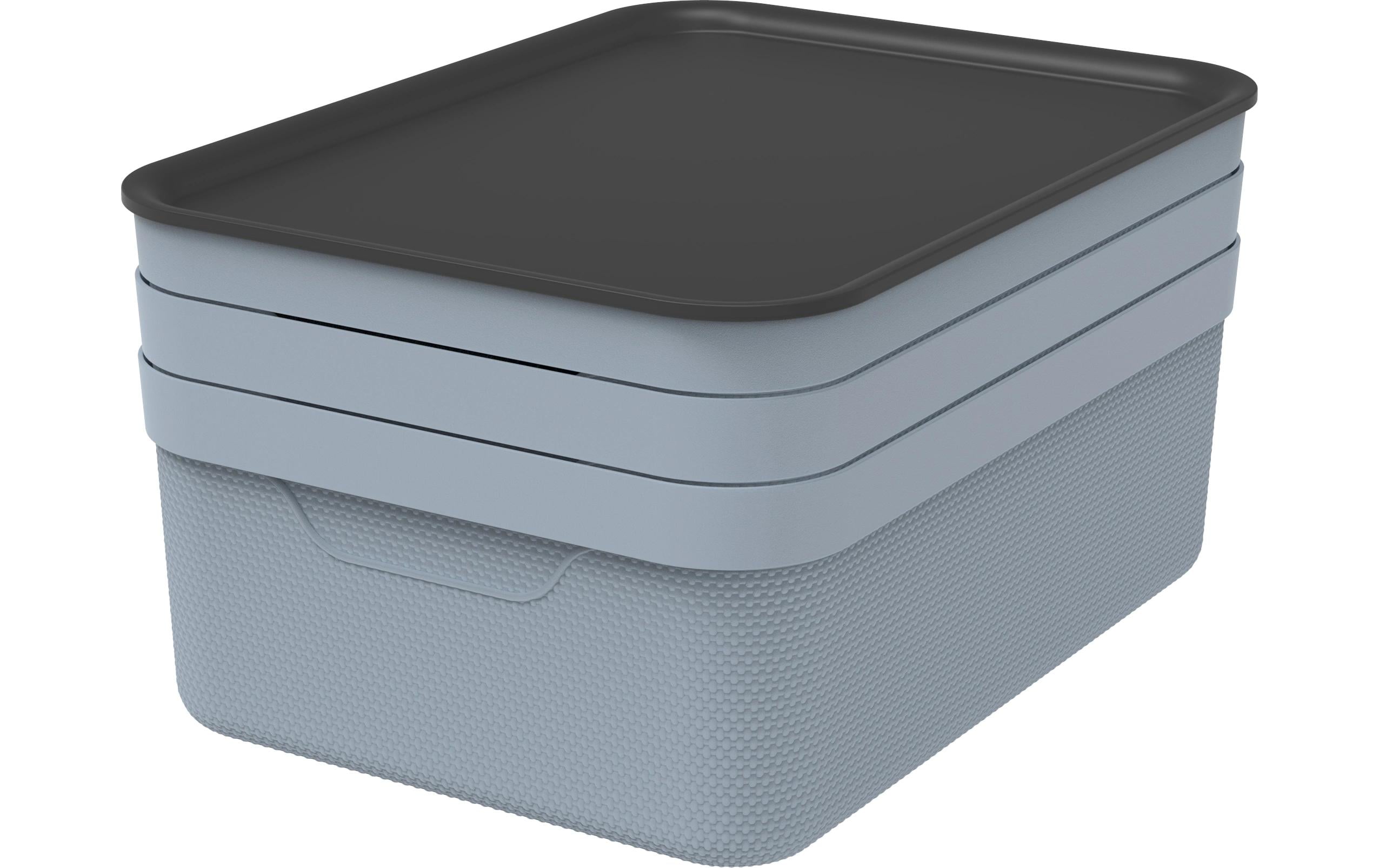 Rotho Set Deko Box mit Deckel A4/10 l JIVE