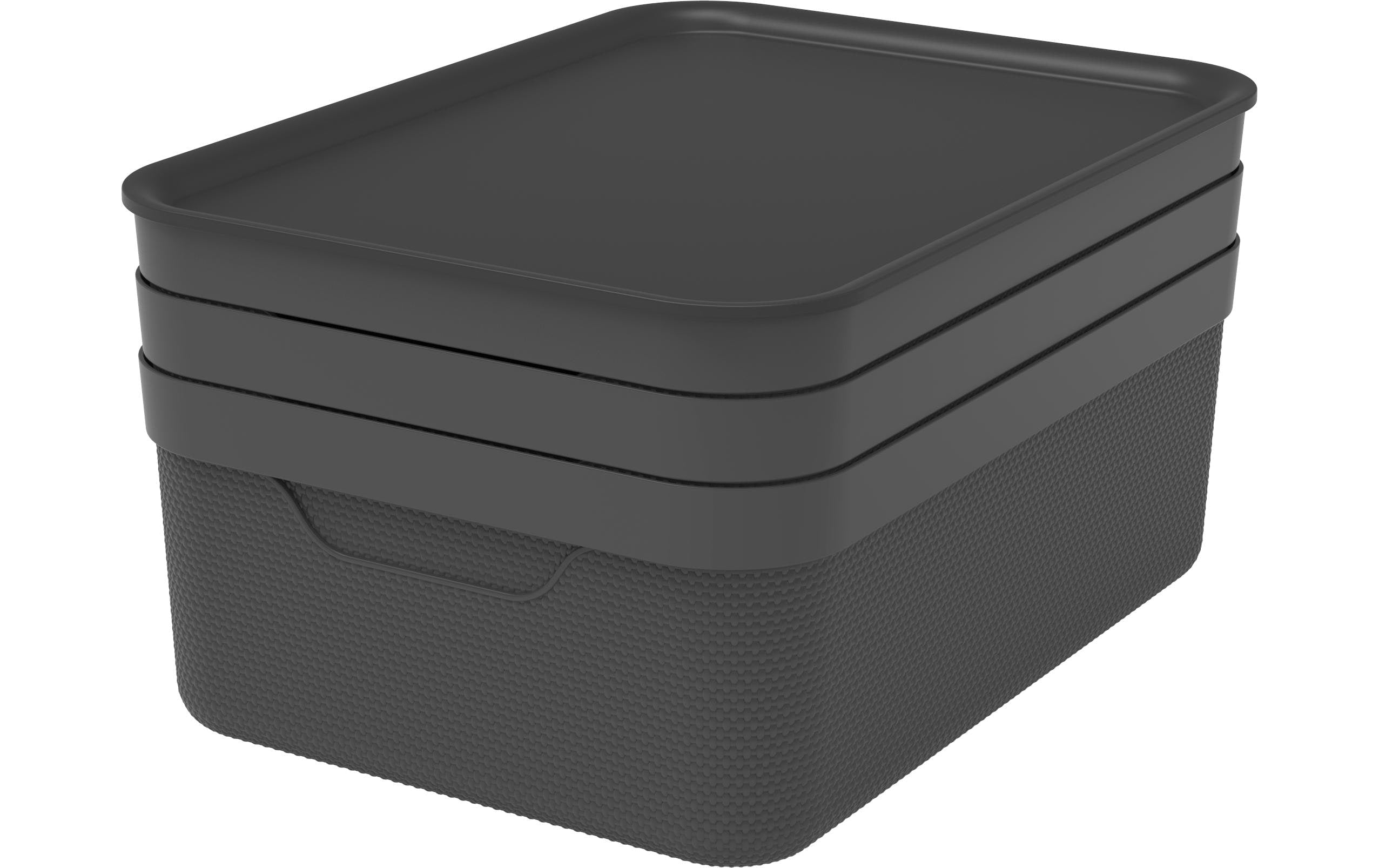 Rotho Set Deko Box mit Deckel A4/10 l JIVE