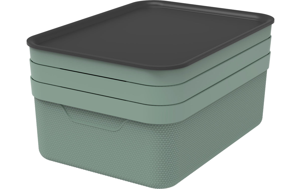 Rotho Set Deko Box mit Deckel A4/10 l JIVE