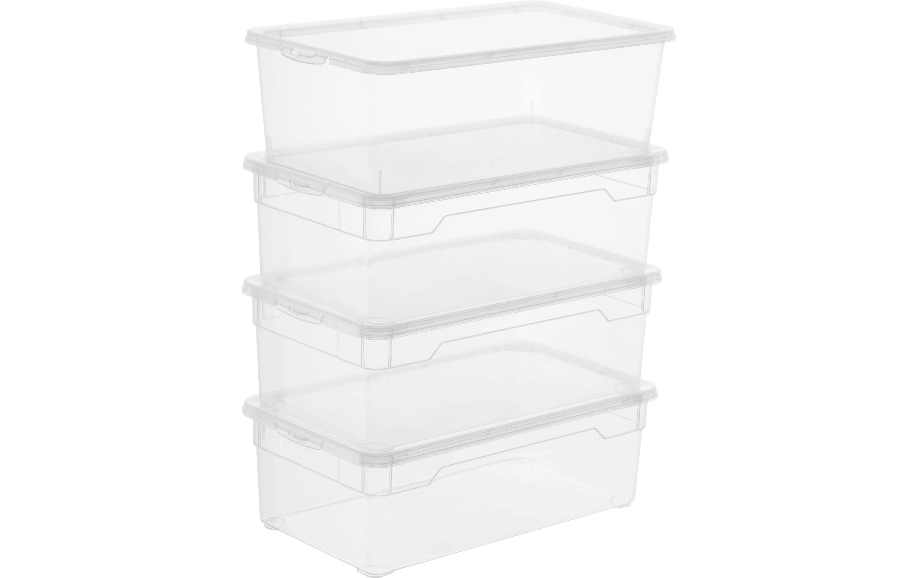Rotho, Aufbewahrungsbox Lady Shoe Transpare