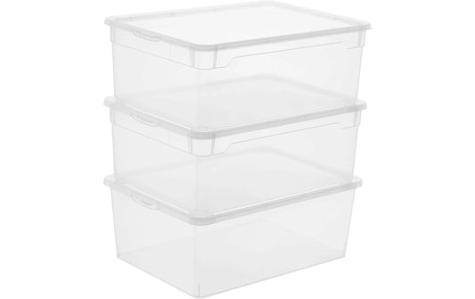 Rotho, Aufbewahrungsbox Men Shoe Transparen