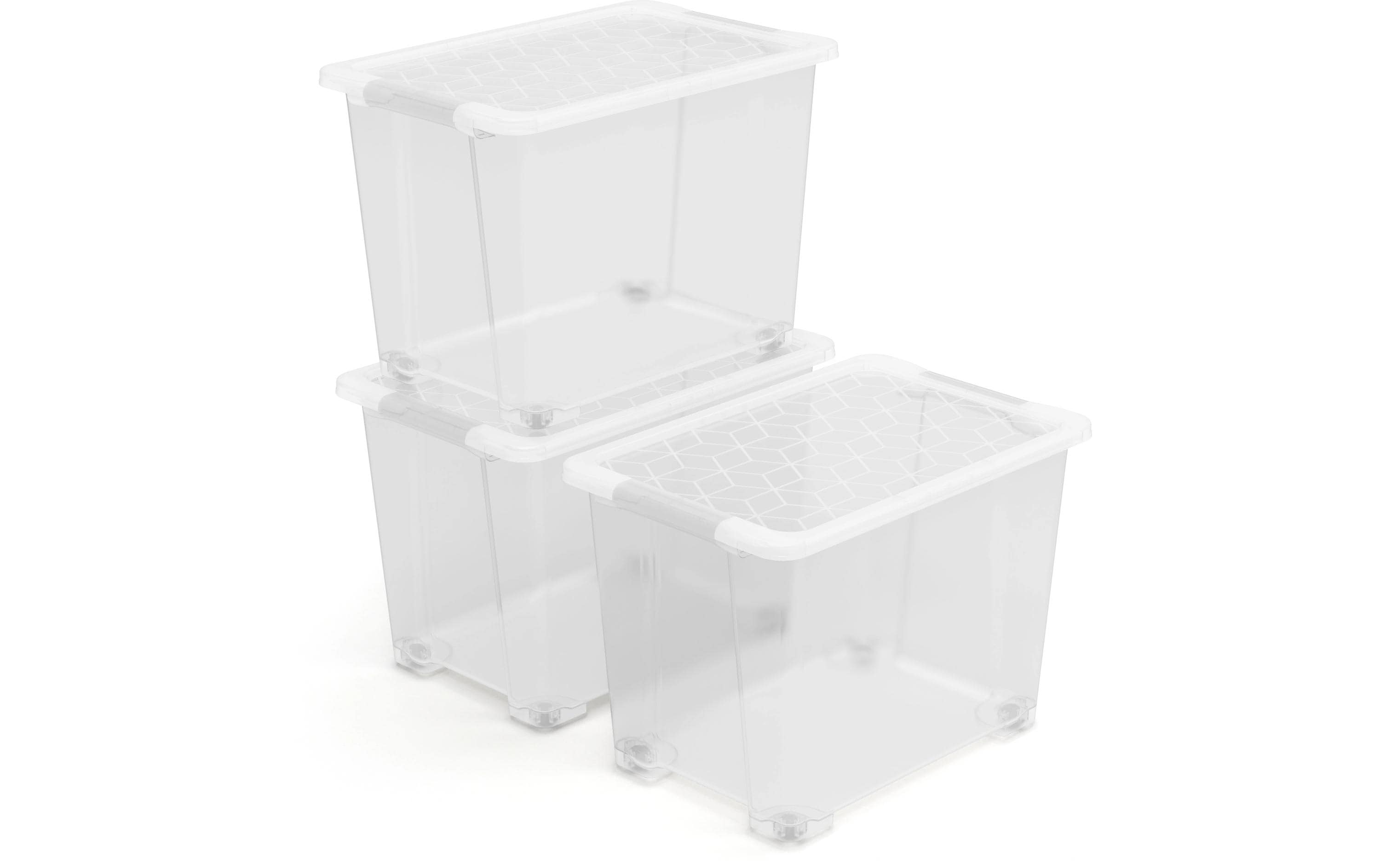 Rotho, Aufbewahrungsbox EVO EASY Transparen