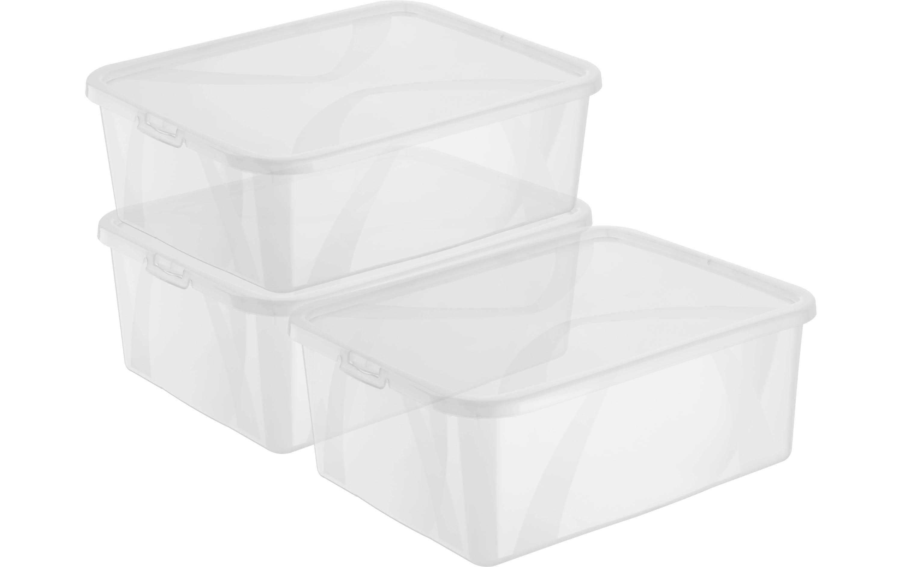 Rotho, Aufbewahrungsbox ARCO Transparent, 3
