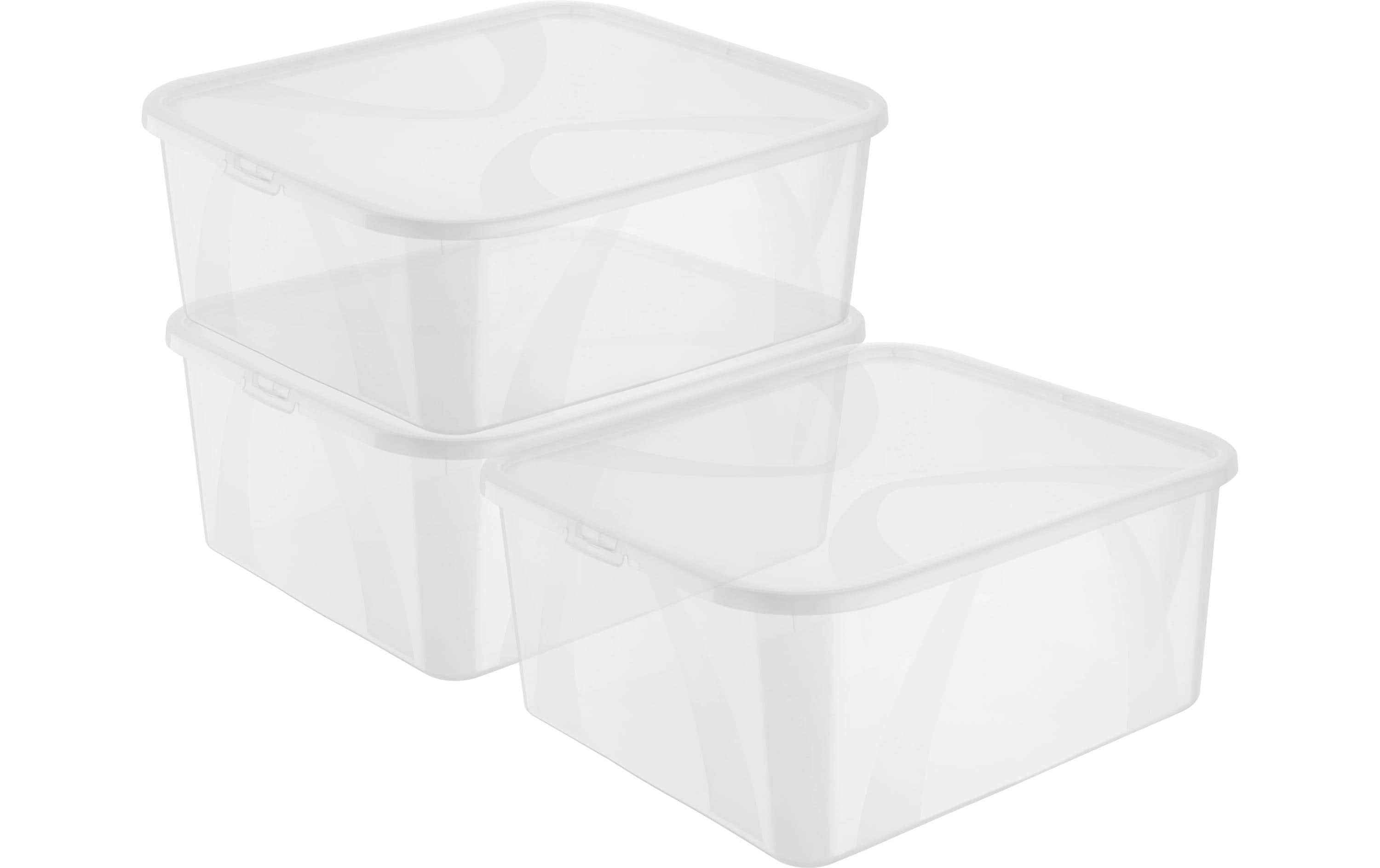 Rotho, Aufbewahrungsbox ARCO Transparent, 3