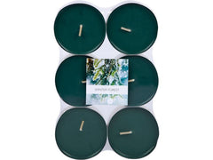 müller Kerzen | Teelichter Maxi,Winter Forest | 6er Set