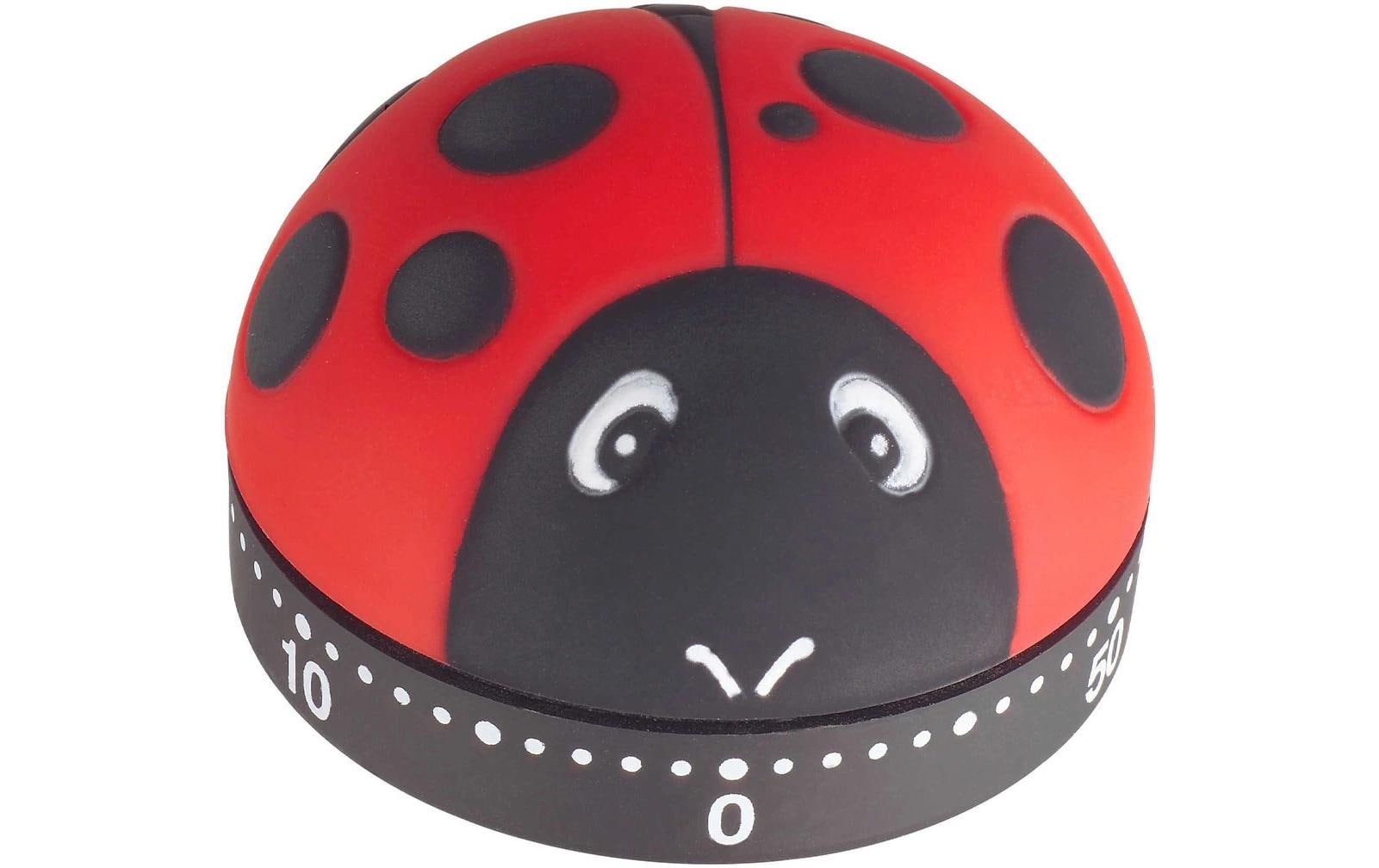 Küchentimer Marienkäfer