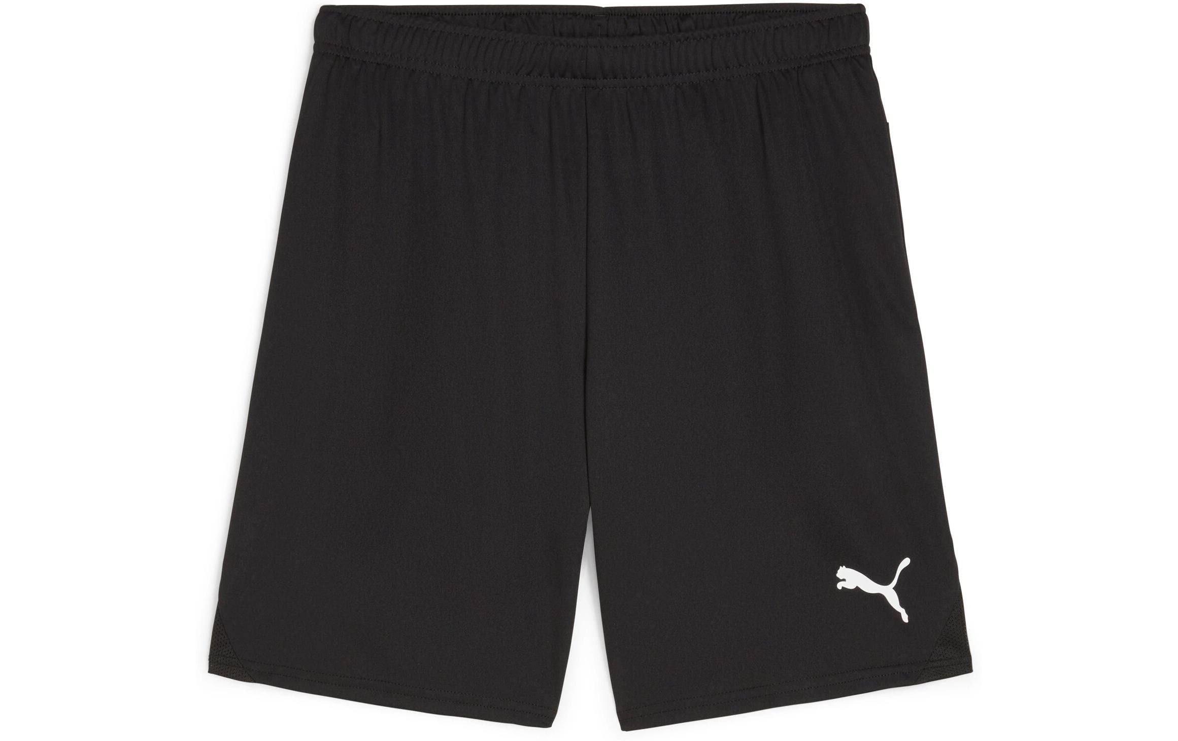 PUMA Shorts teamGOAL