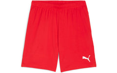 PUMA Shorts teamGOAL