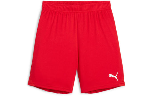 PUMA Shorts teamGOAL Jr