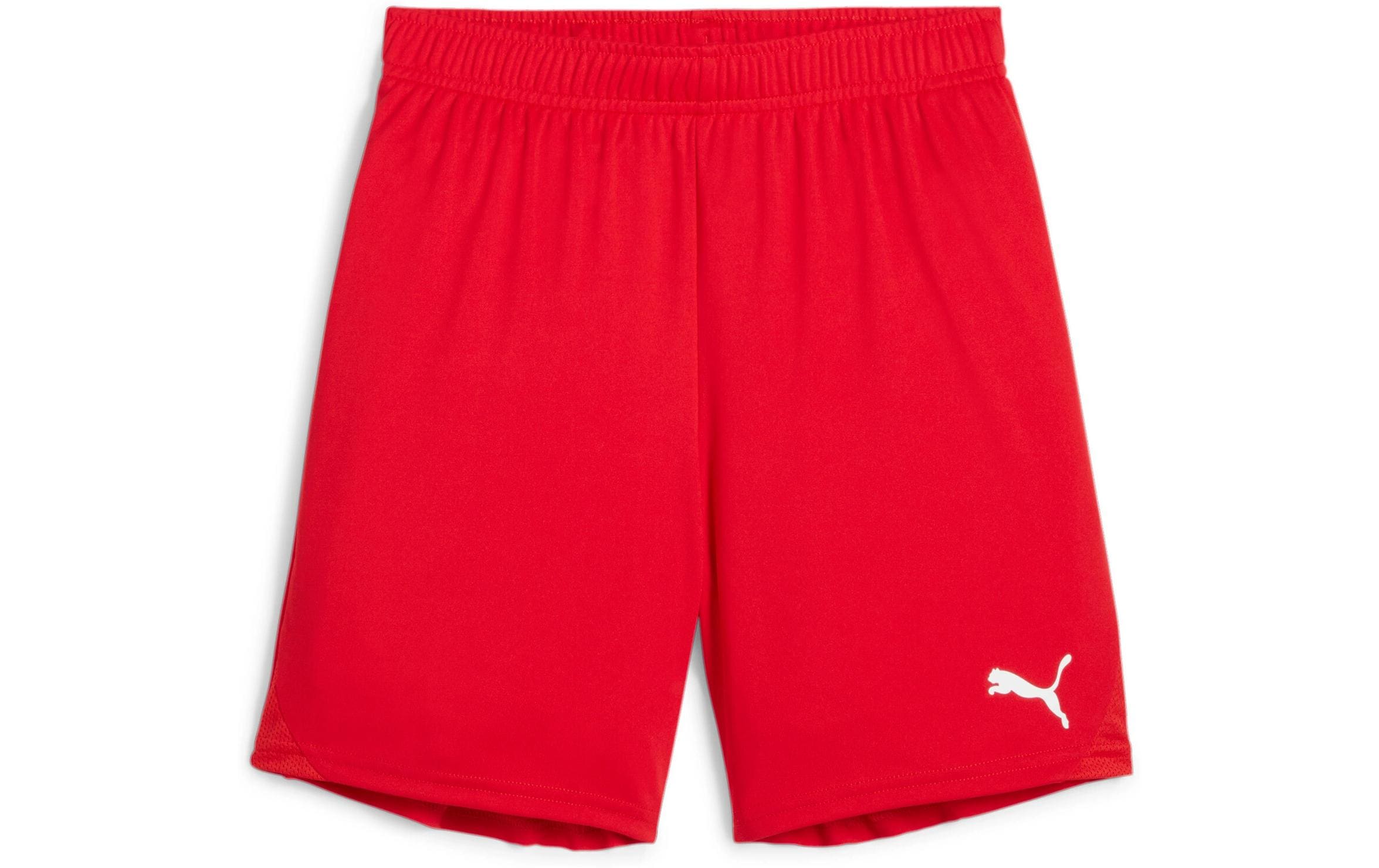 PUMA Shorts teamGOAL Jr