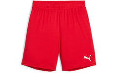 PUMA Shorts teamGOAL Jr