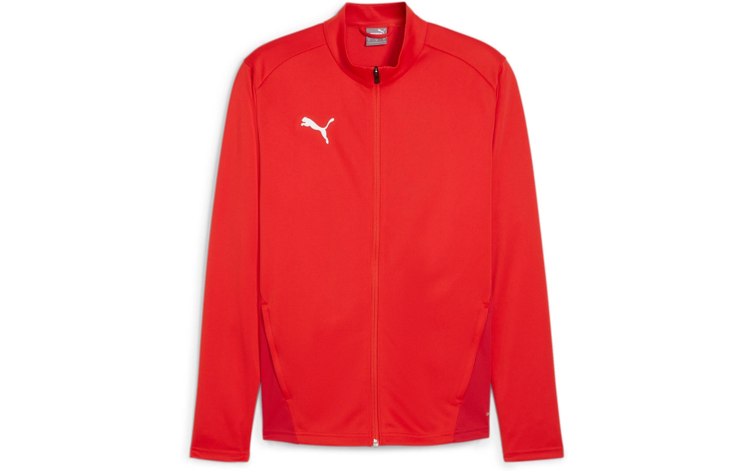 PUMA Jacket teamGOAL Training