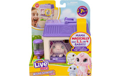 Little Live Pets Mini Bunny
