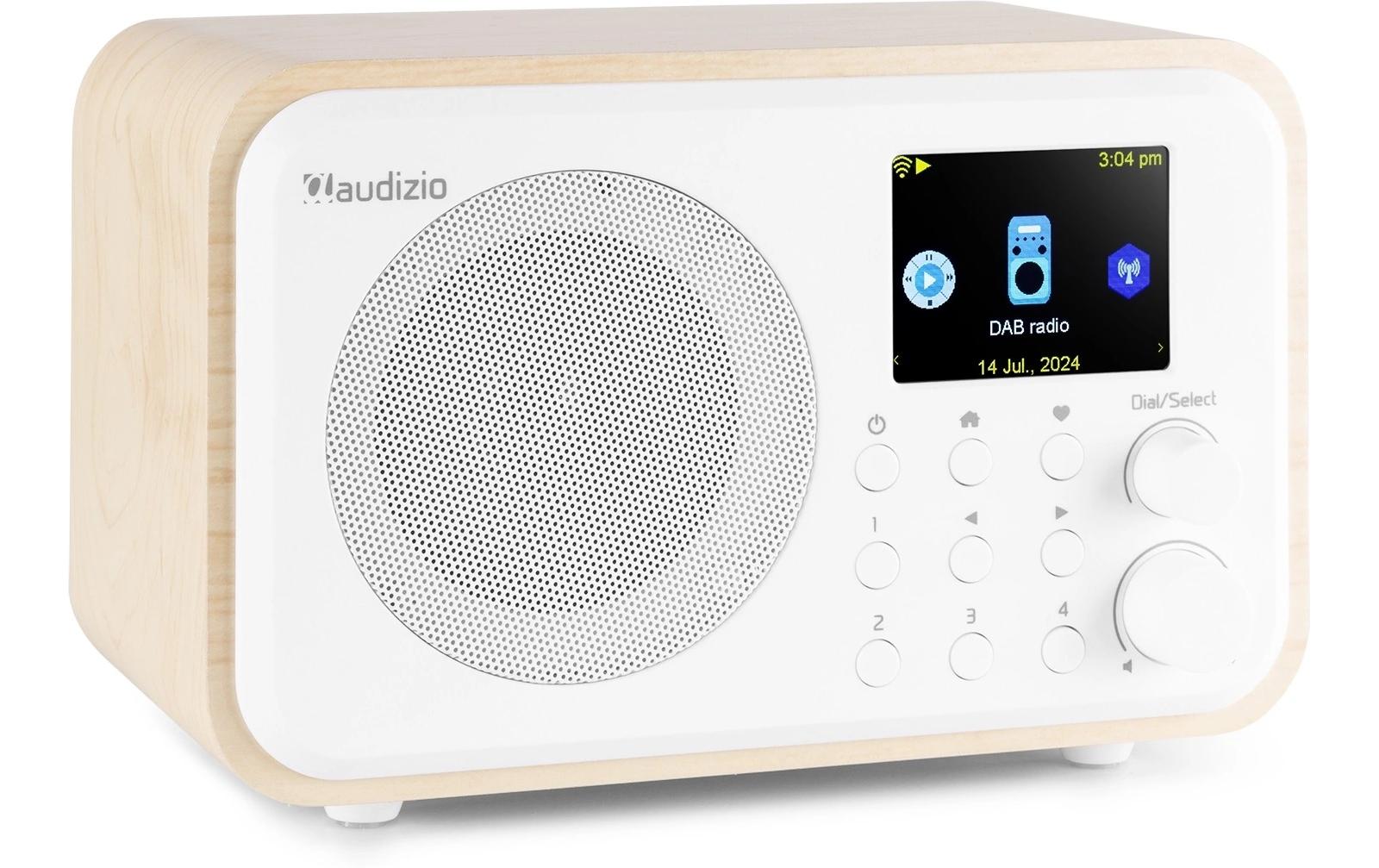 Audizio Vicenza WH