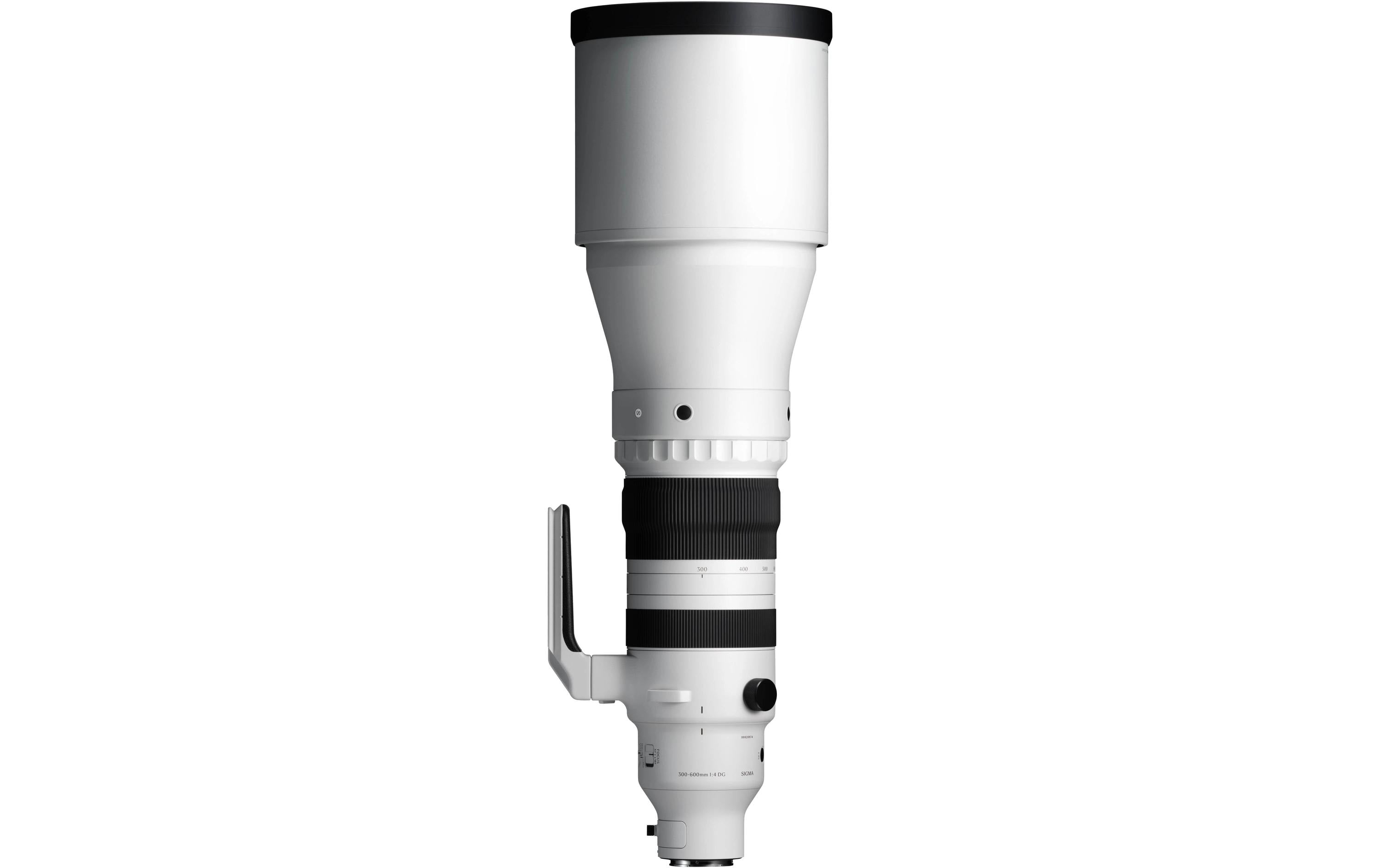Sigma 300-600mm f / 4.0 DG OS So FE