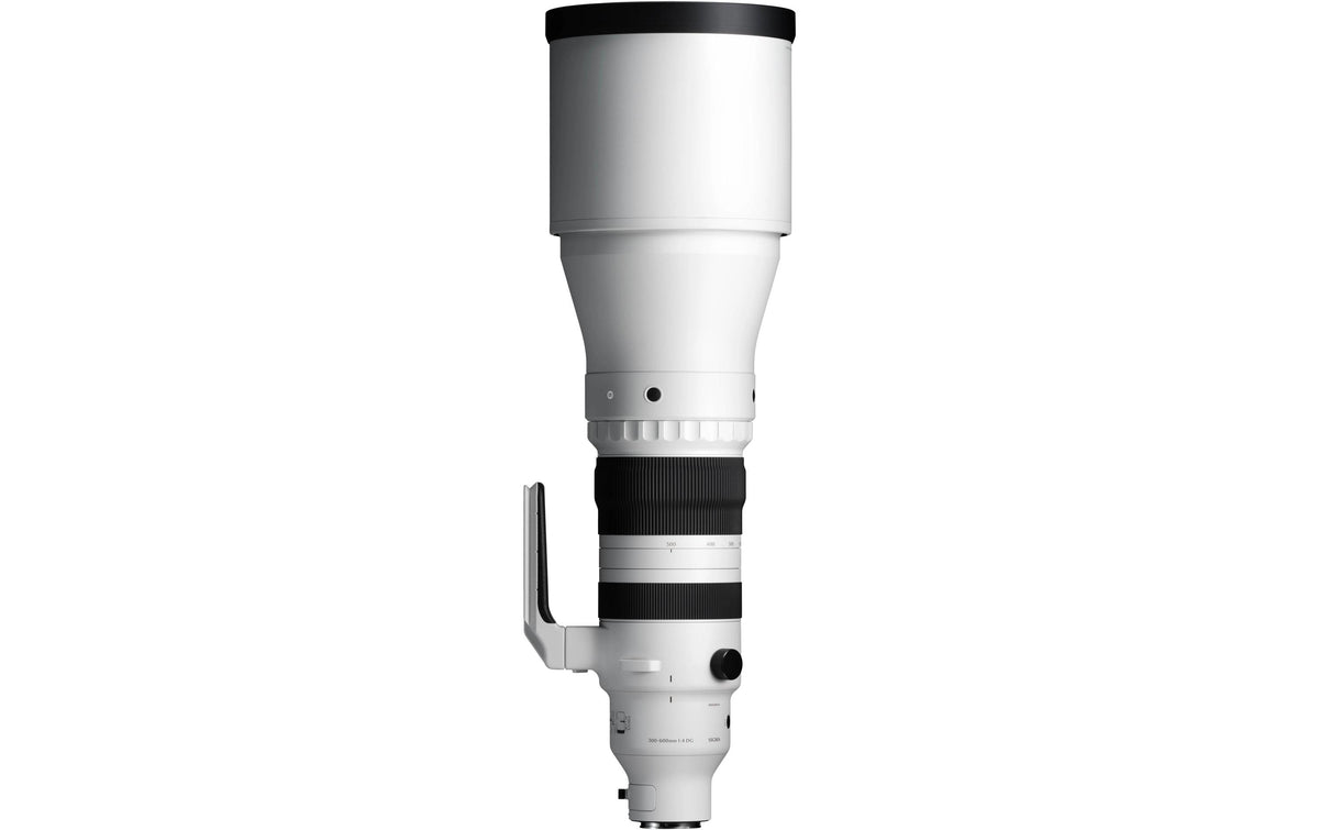 Sigma 300-600mm f / 4.0 DG OS So FE