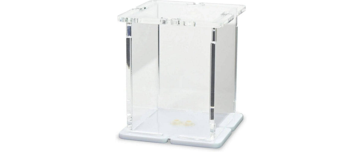 Acryl-Display 1 LEGO-Minifigur