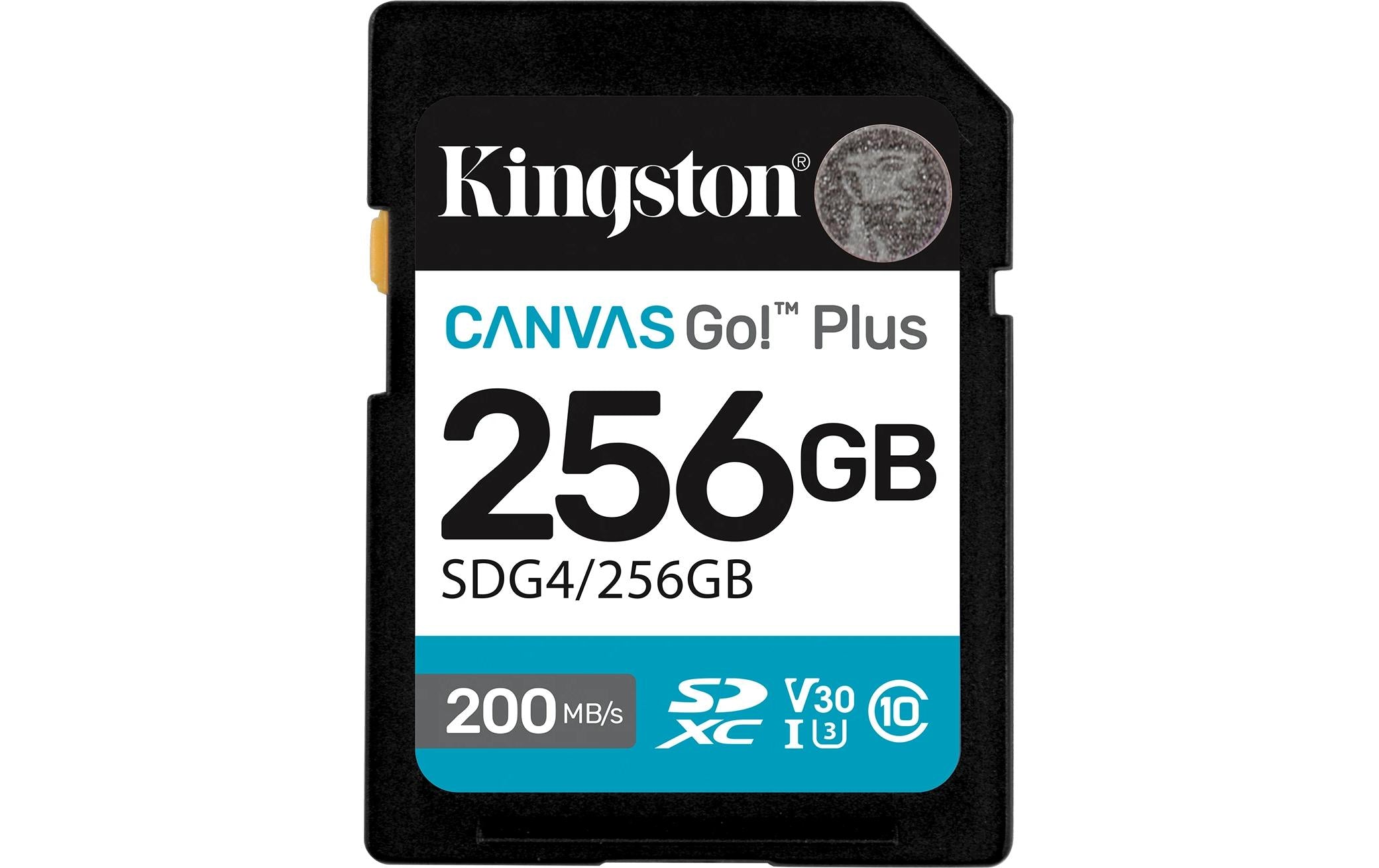Canvas Go! Plus SDXC Card 256GB