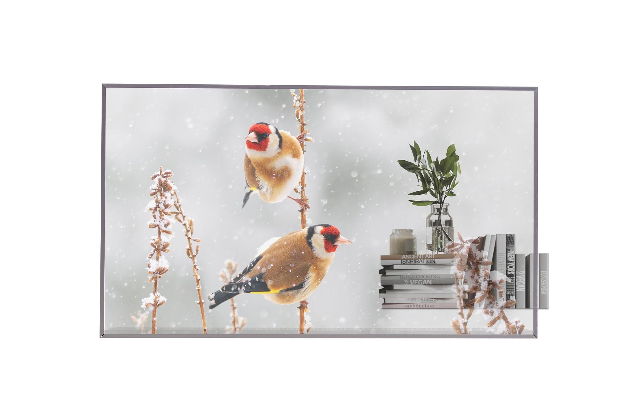 LG 55EW5P-M Public OLED Display