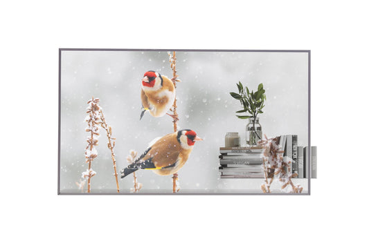 LG 55EW5P-M Public OLED Display