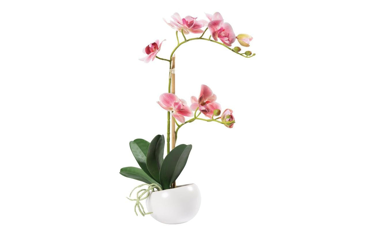 Dekomat Orchidee im Topf 48 cm, pink