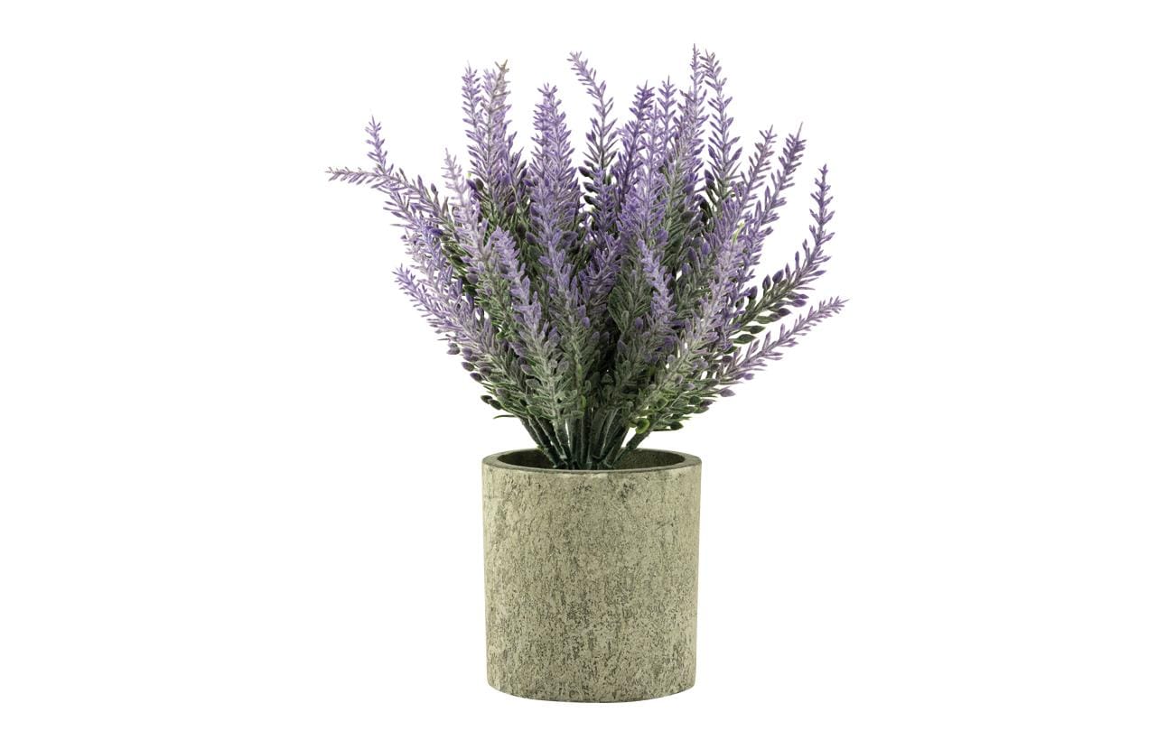 Dekomat Lavendel im Topf 22 cm, grün/lila