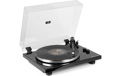 Audizio ToledoBL