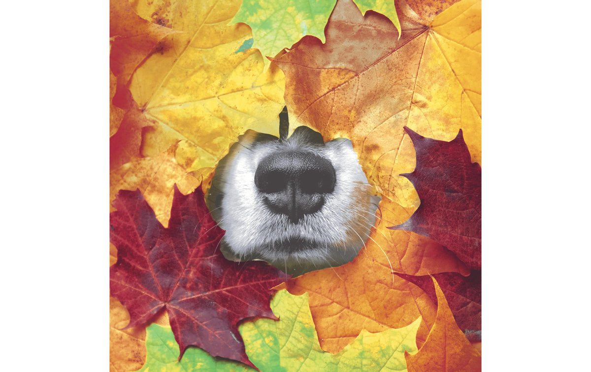 Paper+Design Servietten Hundenase in Herbst