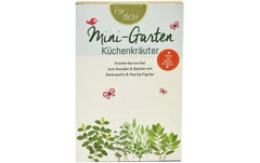 Wunderle Mini-Garten Küchenkräuter