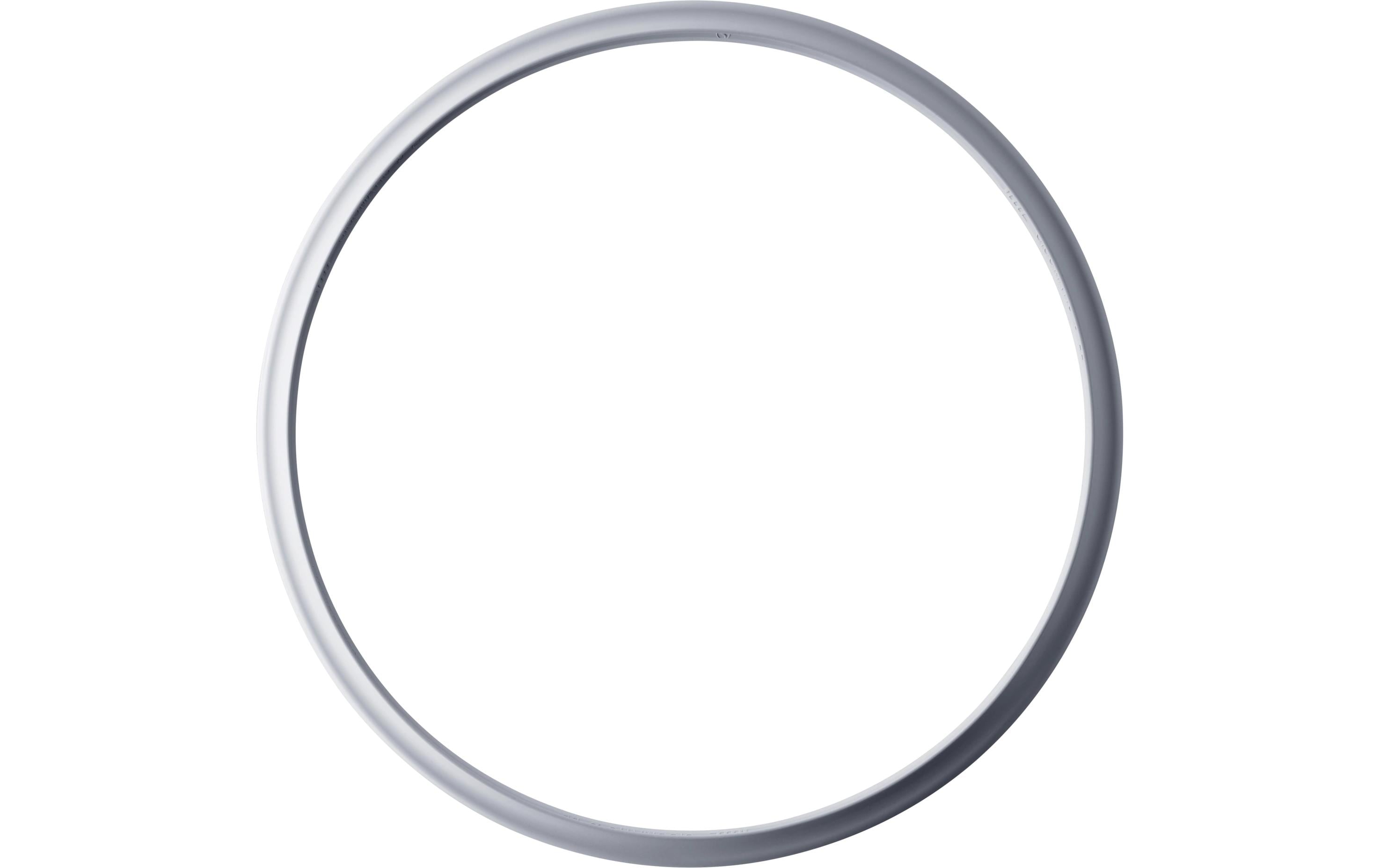 Silit Sicomatic Silikondichtungsring
