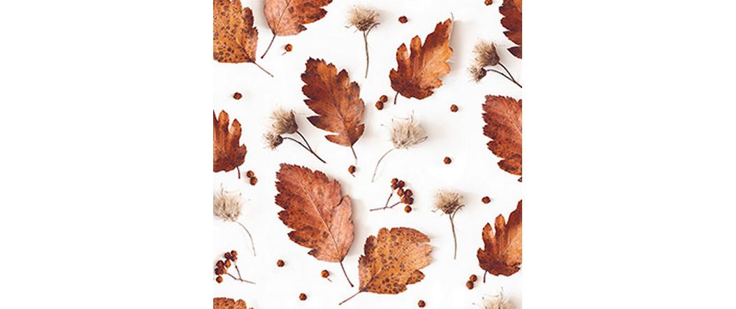 B+C Servietten Soft Autumn
