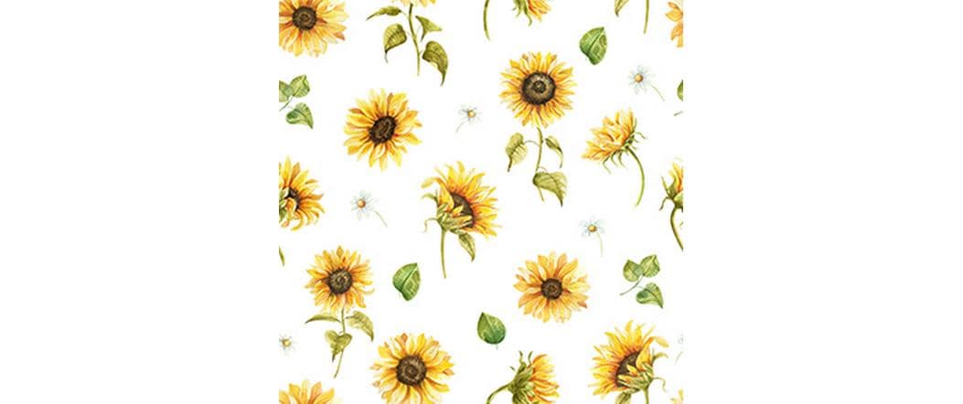 B+C Servietten Sunflower blanc de blanc