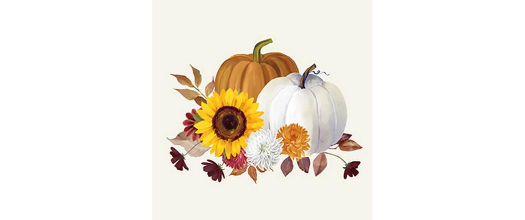 B+C Servietten Pumpkin blanc de blanc
