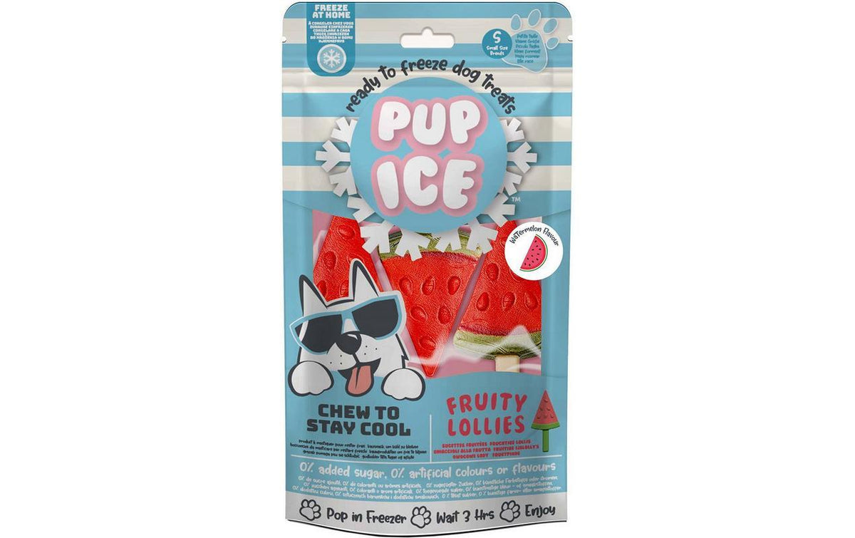 Pup Ice Fruity Lollies Melone