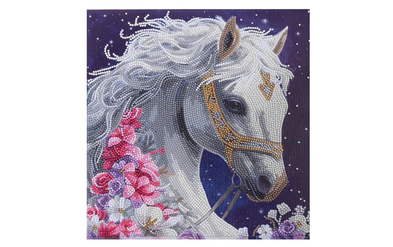 Crystal Art Kit Mystic Beauty 30x30cm