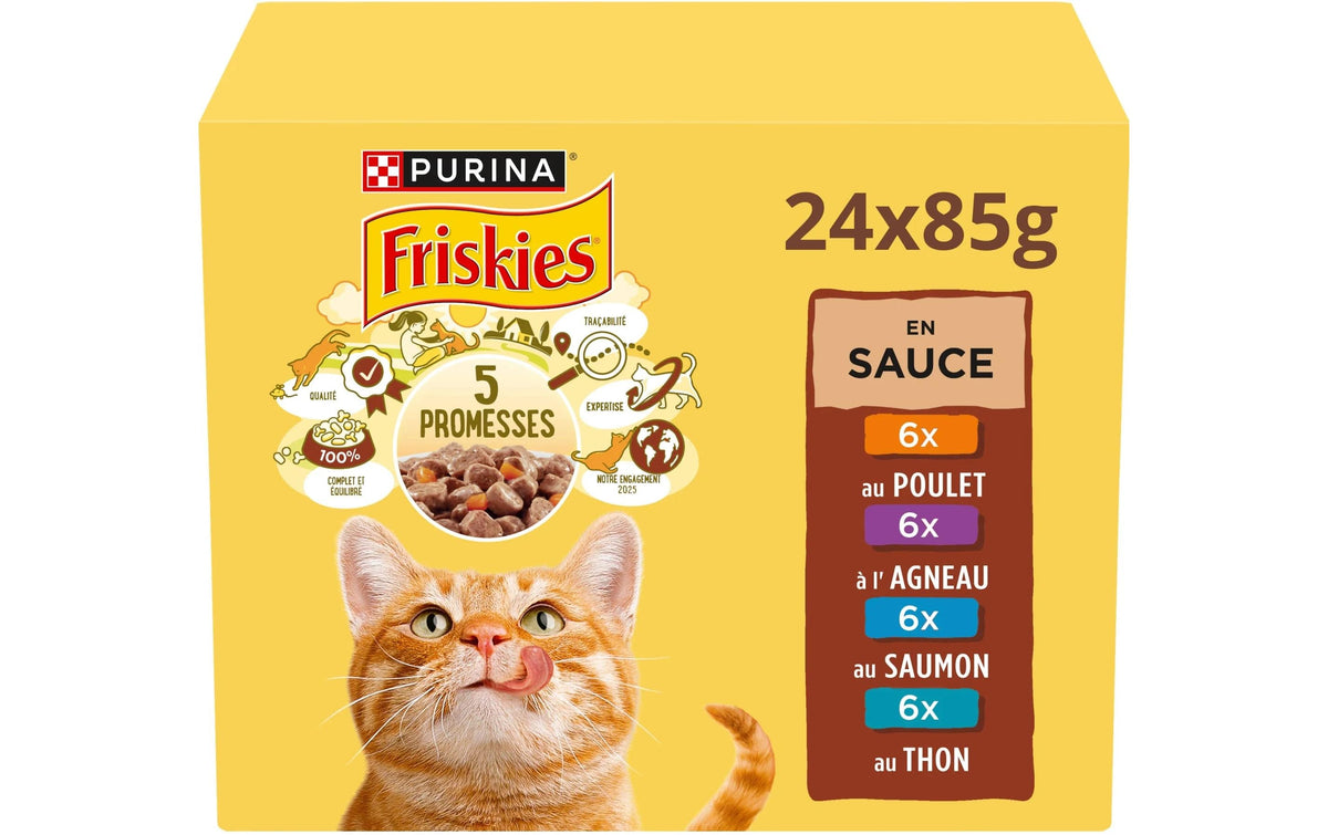 Friskies Cat Adult in Sauce 24x85g
