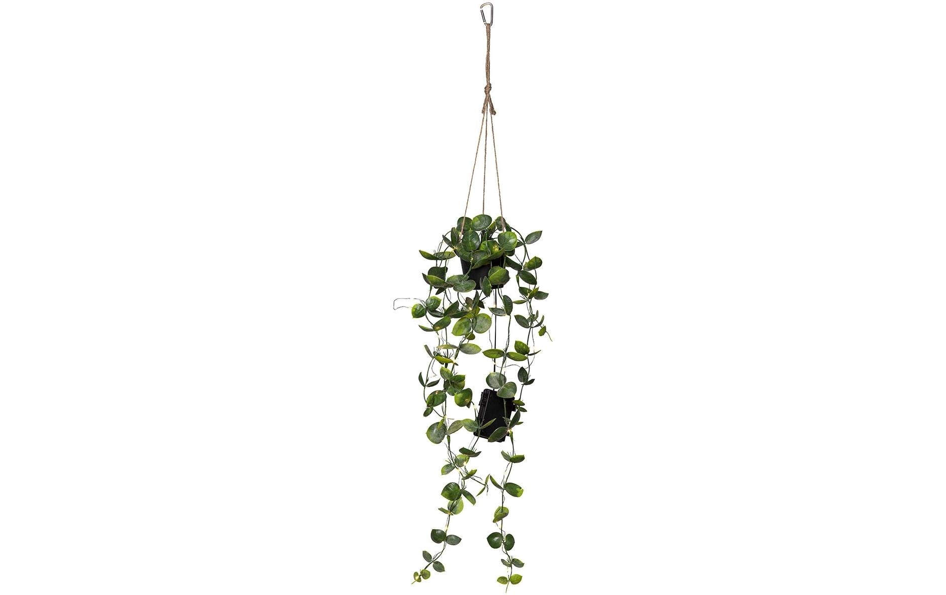 Star Trading künstliche Pflanze Laos 60cm