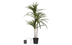 Star Trading künstliche Pflanze Bali 84cm